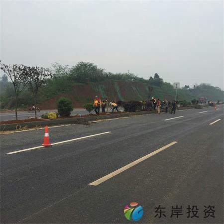 岷東大道東坡段5.8公里道路隔離帶綠化工程(圖7) 岷東大道東坡段5.8公里道路隔離帶綠化工程(圖7)