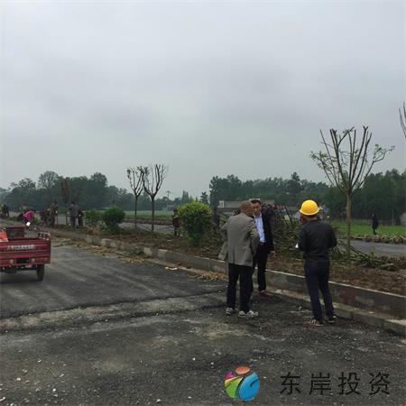 岷東大道東坡段5.8公里道路隔離帶綠化工程(圖6) 岷東大道東坡段5.8公里道路隔離帶綠化工程(圖6)