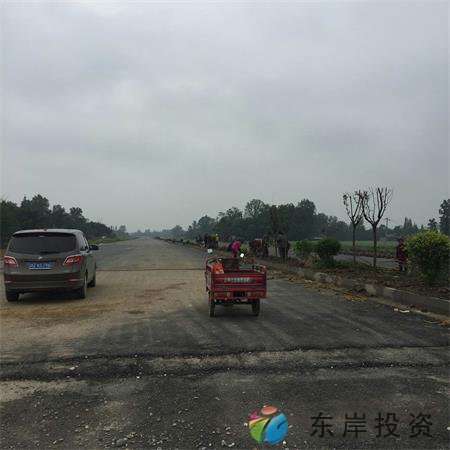 岷東大道東坡段5.8公里道路隔離帶綠化工程(圖5) 岷東大道東坡段5.8公里道路隔離帶綠化工程(圖5)